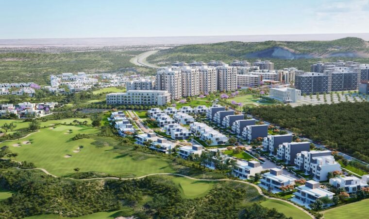 Harnessing-Pakistan's-Real-Estate-Potential
