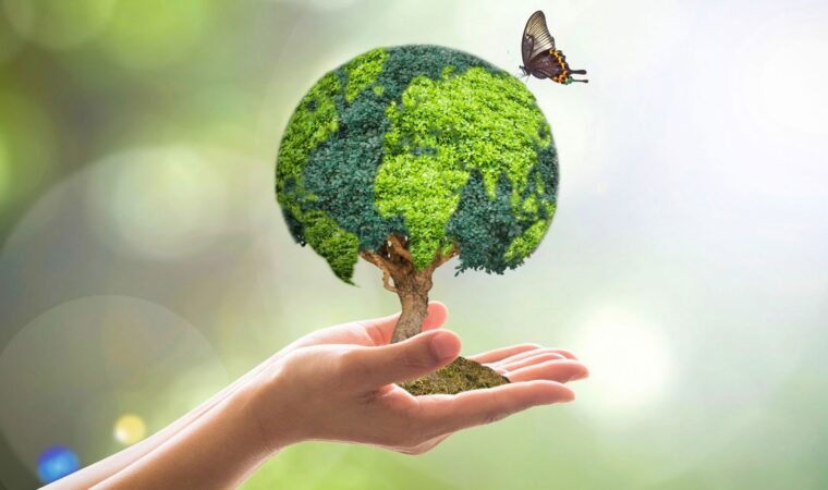 Nurturing-Tomorrow--Environment-Development